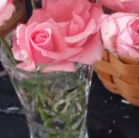 Meet your Posher, Cel - Picture 1 of 3